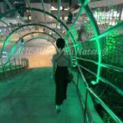 ヒメ日記 2026/07/24 00:42 投稿 夏乃　優 アムアージュ