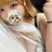 ヒメ日記 2025/12/07 21:02 投稿 らら 丸妻 厚木店