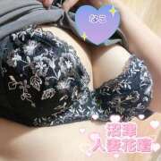 ヒメ日記 2025/08/22 12:49 投稿 なこ 沼津人妻花壇