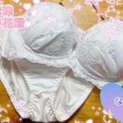 ヒメ日記 2025/09/30 19:01 投稿 なこ 沼津人妻花壇