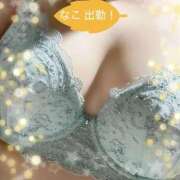 ヒメ日記 2025/11/21 11:08 投稿 なこ 沼津人妻花壇