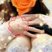 なこ おうちでいつもこそこそ… 沼津人妻花壇