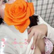 ヒメ日記 2026/03/24 12:37 投稿 なこ 沼津人妻花壇