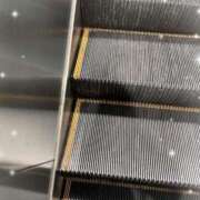 ヒメ日記 2025/07/12 11:35 投稿 つきの Noble