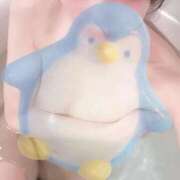 ヒメ日記 2026/01/27 00:15 投稿 つきの Noble