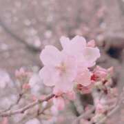 ヒメ日記 2026/03/21 17:15 投稿 つきの Noble