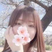 ヒメ日記 2026/03/26 14:35 投稿 つきの Noble