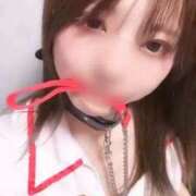 ヒメ日記 2026/04/01 15:35 投稿 つきの Noble