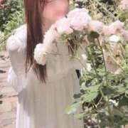 ヒメ日記 2026/07/17 08:05 投稿 つきの Noble