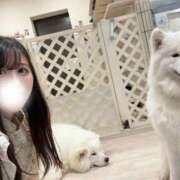 ヒメ日記 2025/08/20 21:31 投稿 Nono CELEB（セレブ）