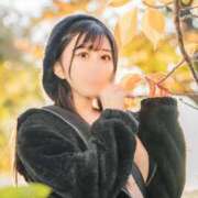 Nono LIVE。そして CELEB（セレブ）