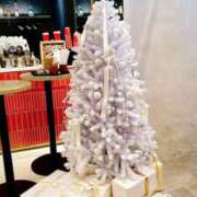 ヒメ日記 2025/12/23 18:42 投稿 うた 千葉人妻セレブリティ（ユメオト）