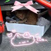 ヒメ日記 2026/01/23 21:02 投稿 ちか ぷるるん小町 京橋店