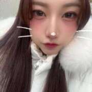 ヒメ日記 2025/11/26 13:54 投稿 一ノ瀬あかり ブルーバード