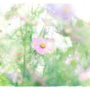 ヒメ日記 2025/10/25 20:28 投稿 ☆つばき☆ ◆プラウディア◆AAA級素人娘在籍店