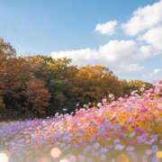 ヒメ日記 2025/10/26 17:52 投稿 ☆つばき☆ ◆プラウディア◆AAA級素人娘在籍店