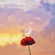 ☆つばき☆ 💖ありがとう🥹💖 ◆プラウディア◆AAA級素人娘在籍店