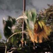 ヒメ日記 2025/10/15 10:03 投稿 むぎ 鶯谷スピン