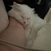 ヒメ日記 2025/08/16 00:45 投稿 しの☆超エロボディライン☆ アネキャンモード