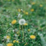 ヒメ日記 2025/08/13 09:10 投稿 咲里(エミリ) グランドオペラ名古屋