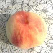 ヒメ日記 2025/08/26 14:22 投稿 咲里(エミリ) グランドオペラ名古屋