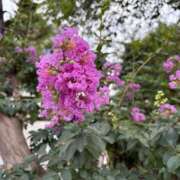 ヒメ日記 2025/09/04 00:20 投稿 らな しごくなエステ