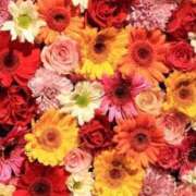 ヒメ日記 2025/11/26 21:21 投稿 らな しごくなエステ