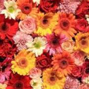 ヒメ日記 2025/11/27 21:00 投稿 らな しごくなエステ