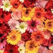 ヒメ日記 2026/01/09 00:00 投稿 らな しごくなエステ