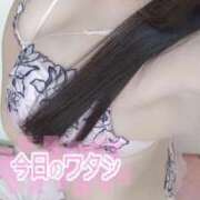 ヒメ日記 2025/07/14 11:14 投稿 菜乃花/Nanoka レジーナ