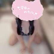 ヒメ日記 2025/11/03 13:44 投稿 菜乃花/Nanoka レジーナ