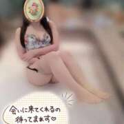 ヒメ日記 2025/11/14 11:34 投稿 菜乃花/Nanoka レジーナ