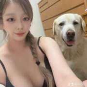 ヒメ日記 2025/09/06 04:26 投稿 ひまり【S級高級ラウンジ嬢】 STELLA TOKYO－ステラトウキョウ－