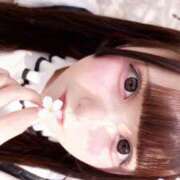 ヒメ日記 2026/04/17 21:12 投稿 ここあ【ロリ×F乳＝最強】 STELLA TOKYO－ステラトウキョウ－