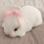 ヒメ日記 2025/08/17 17:59 投稿 ゆう スピードエコ日本橋店