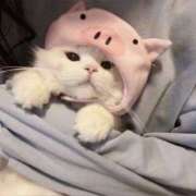 ヒメ日記 2025/08/22 11:49 投稿 ゆう スピードエコ日本橋店