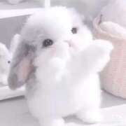 ヒメ日記 2026/02/02 13:21 投稿 ゆう スピードエコ日本橋店