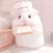 ヒメ日記 2026/02/03 20:14 投稿 ゆう スピードエコ日本橋店