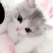 ヒメ日記 2026/02/04 11:49 投稿 ゆう スピードエコ日本橋店