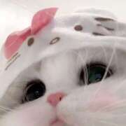 ゆう ゆう（エコ日本橋店） スピードエコ日本橋店