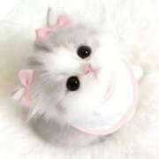 ゆう ゆう（エコ日本橋店） スピードエコ日本橋店