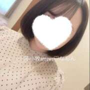 ヒメ日記 2026/02/21 18:28 投稿 なおん【シルバーアロー】 Arrows 苫小牧・千歳店