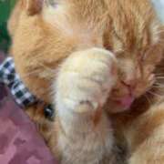 ヒメ日記 2025/07/21 12:05 投稿 モモ Aroma De Pari（アロマ・デ・パリ）