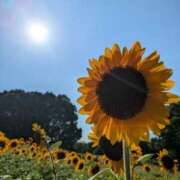 ヒメ日記 2025/07/24 19:23 投稿 モモ Aroma De Pari（アロマ・デ・パリ）