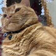 ヒメ日記 2025/08/08 22:11 投稿 モモ Aroma De Pari（アロマ・デ・パリ）