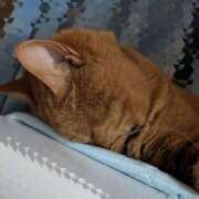 ヒメ日記 2025/08/09 21:17 投稿 モモ Aroma De Pari（アロマ・デ・パリ）