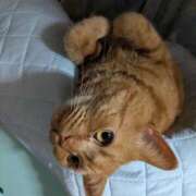 ヒメ日記 2025/08/10 13:53 投稿 モモ Aroma De Pari（アロマ・デ・パリ）