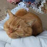 ヒメ日記 2025/08/12 12:07 投稿 モモ Aroma De Pari（アロマ・デ・パリ）