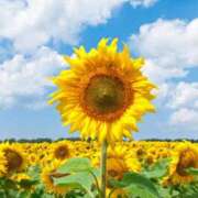 ヒメ日記 2025/07/23 20:56 投稿 香野しおね 五十路マダムエクスプレス船橋店(カサブランカグループ)