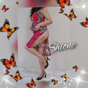 ヒメ日記 2025/08/17 14:42 投稿 香野しおね 五十路マダムエクスプレス船橋店(カサブランカグループ)